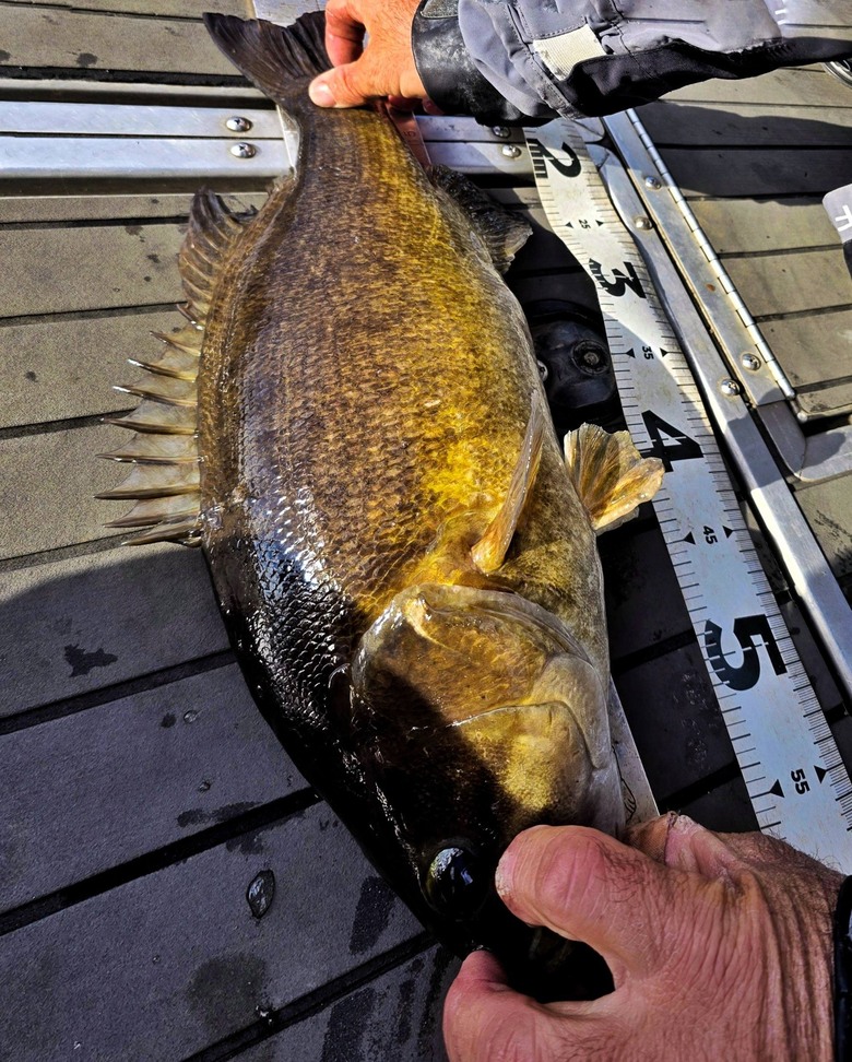 Fishing Traveler (環球釣者) -王者降臨：北美暴釣近60cm巨大小嘴黑鱸與「一餌雙中」的奇蹟 Day4 與世界第一傳奇釣手，釣魚之神Mike iaconelli的夢幻終章