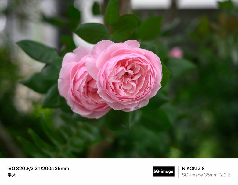 遇見SG-image(深光) 35mm f/2.2 Z mount