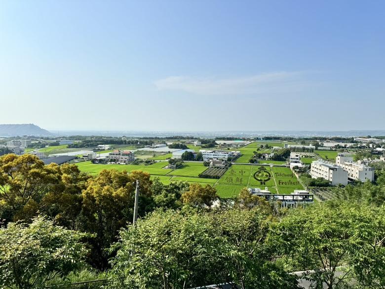 外埔隱藏版桐花景點|人少安靜又療癒