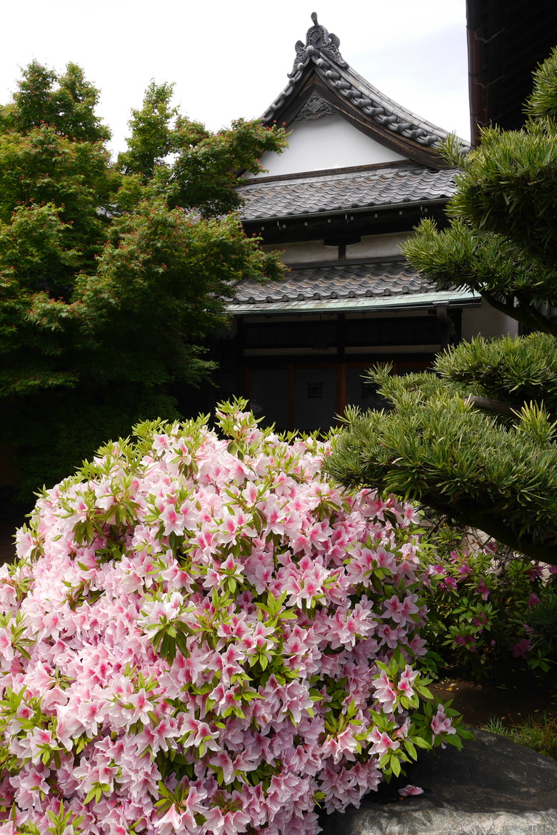 谷中銀座 西日暮里漫遊