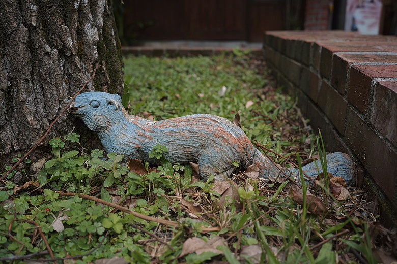 點我看大圖 Panasonic LUMIX S9|深光 sg-image 35mm f2.2|宜蘭傳藝中心隨拍