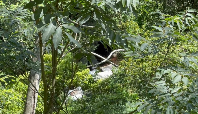 【谷關七雄】等到了！絕美瀑布「蝴蝶谷」步道重新開放！順登唐麻丹山全紀錄！