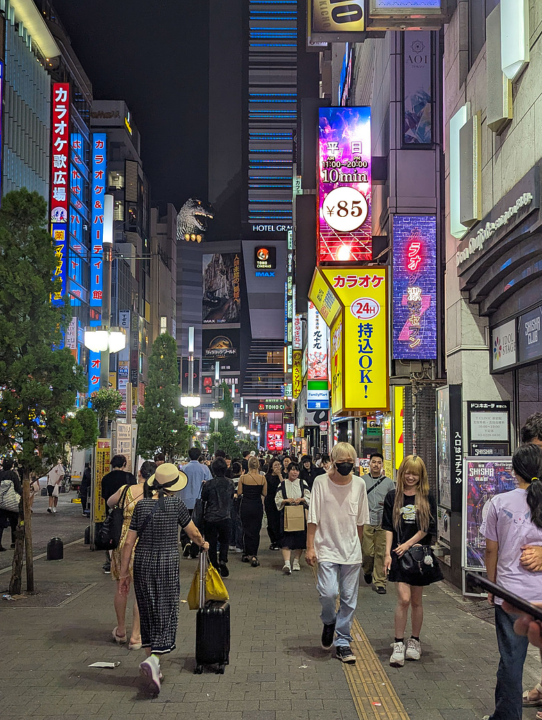 【富士鐵人小隊】- 自助旅行(7天6夜) - 東京篇