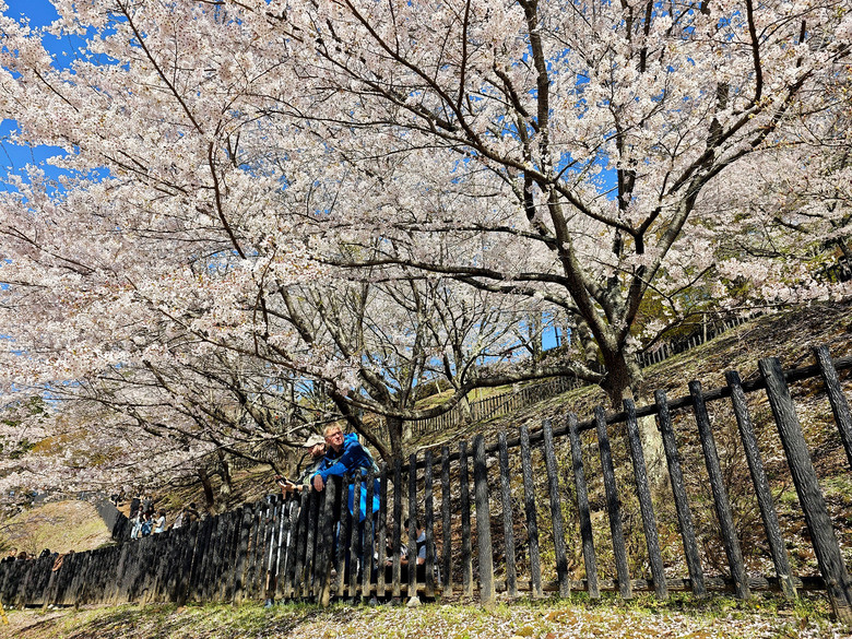 帶著小米14u去旅行_富士山下的雙湖慢旅