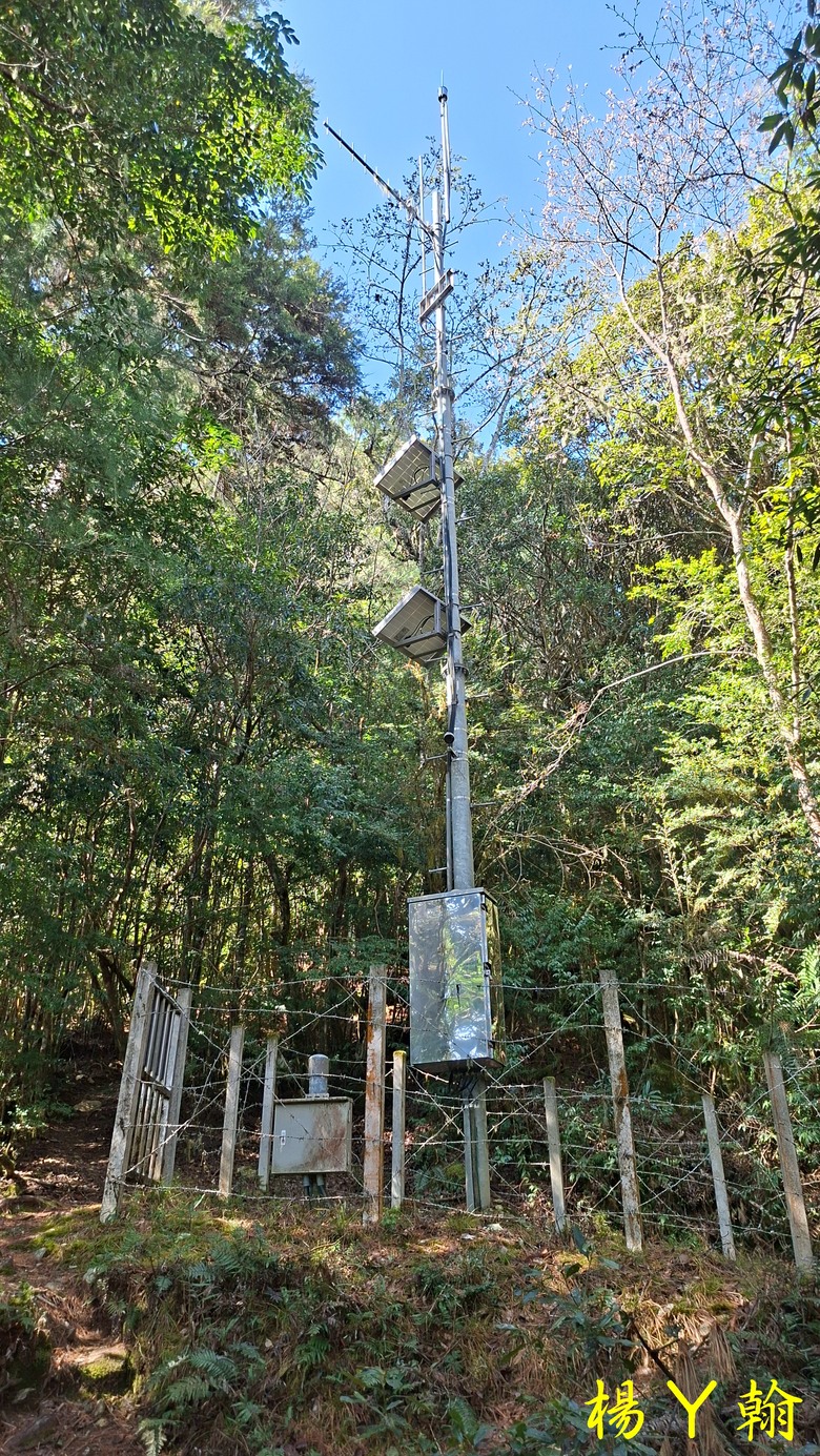 【台灣小百岳】開車比爬山時間還久的小百岳 — 卡拉寶山、碧綠神木