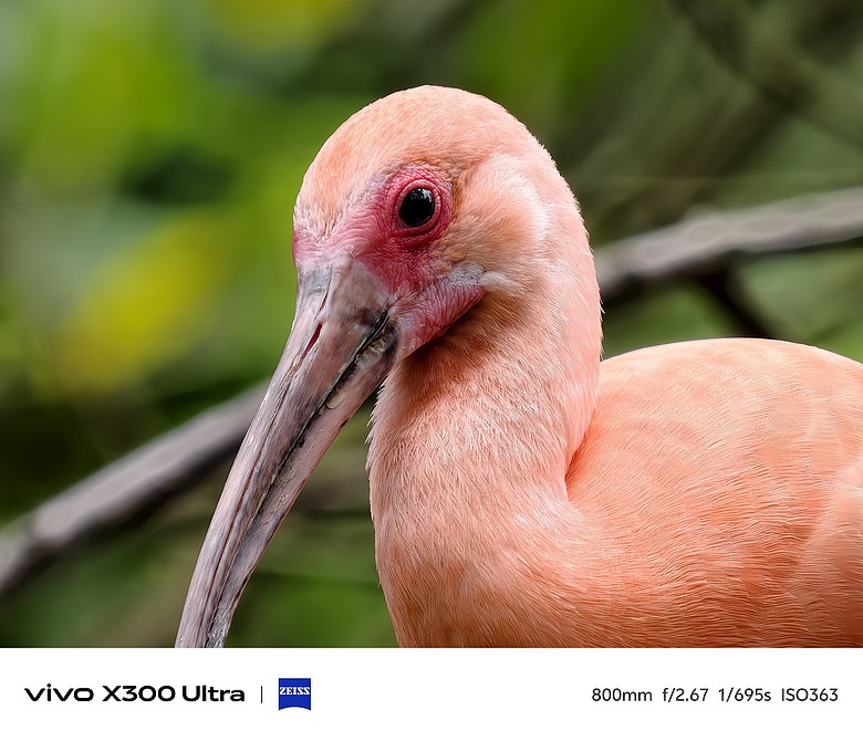 vivo X300 Ultra 評測報告｜不僅效能封頂、更是影像超旗艦！