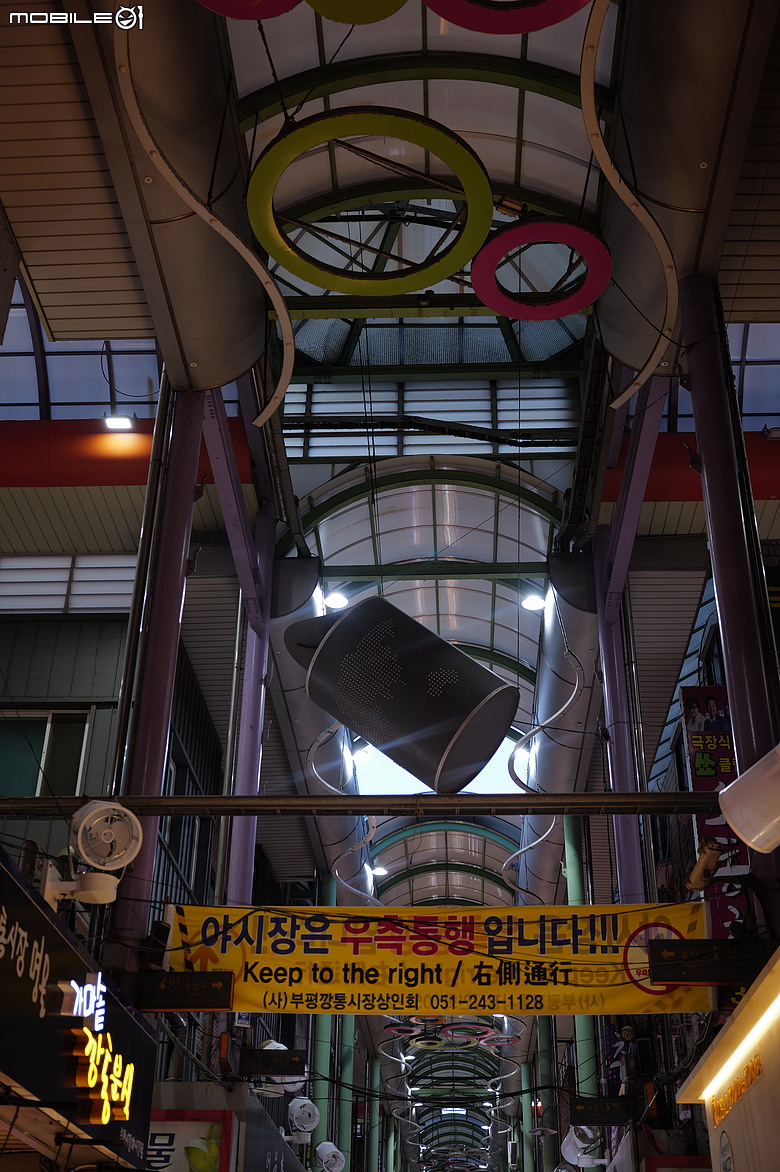 釜山賞櫻員工旅遊(上)