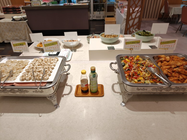 北海道｜北海道十勝川大平原溫泉飯店 植物性褐碳溫泉&熱氣球體驗