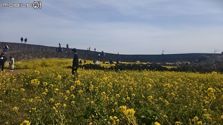 第一次的海外摩托車旅遊 | 濟州島 | 偉士牌機車環島