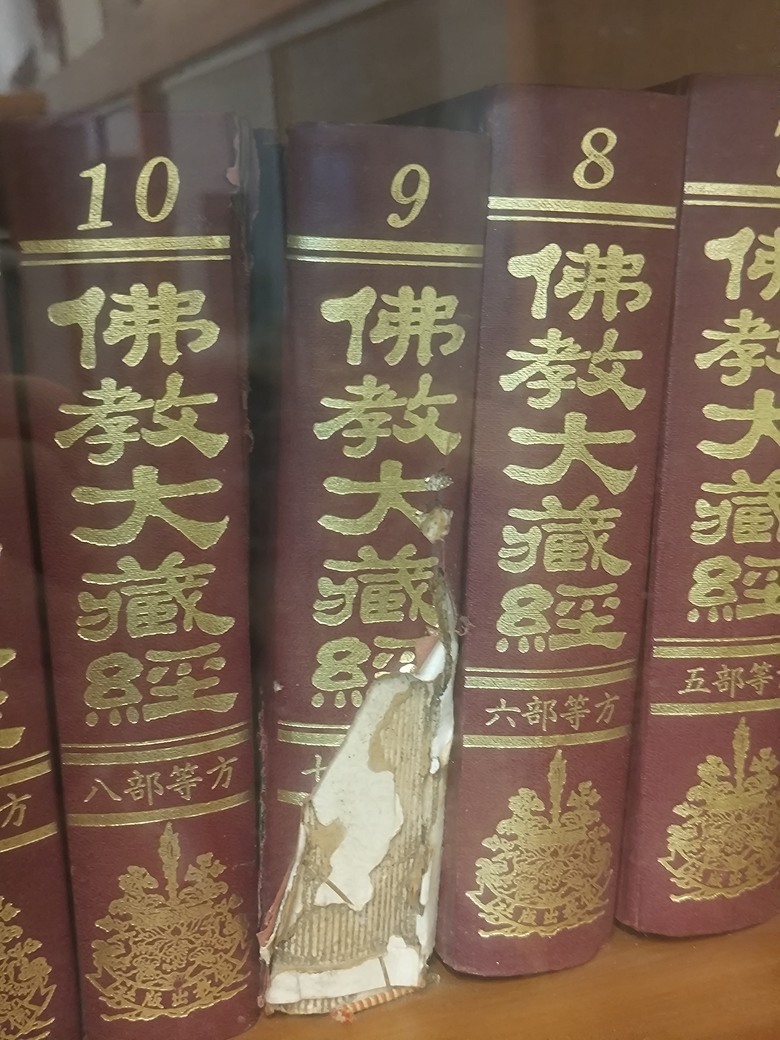 書籍蟲蛀