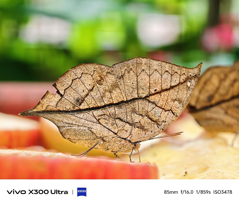 vivo X300 Ultra 評測報告｜不僅效能封頂、更是影像超旗艦！
