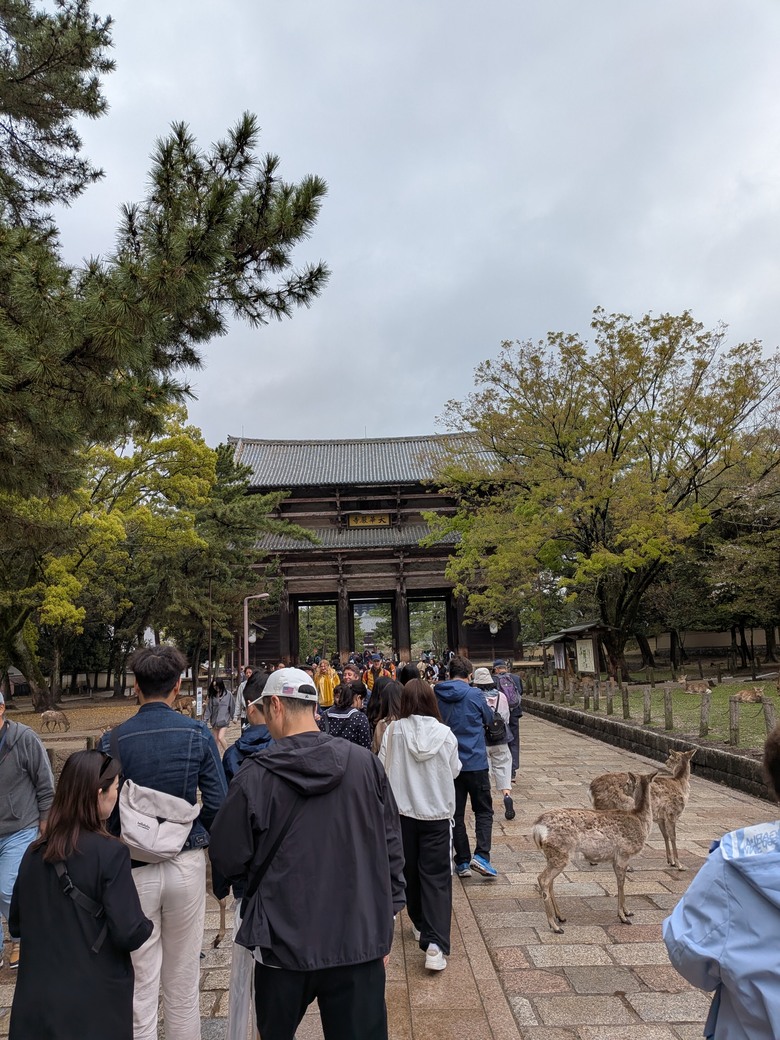 奈良大佛