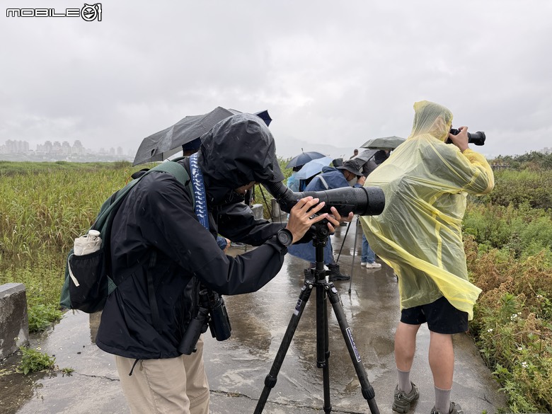 煙雨濛濛的驚豔之美:與海外歸國友人的挖仔尾賞鳥活動 SFL 50