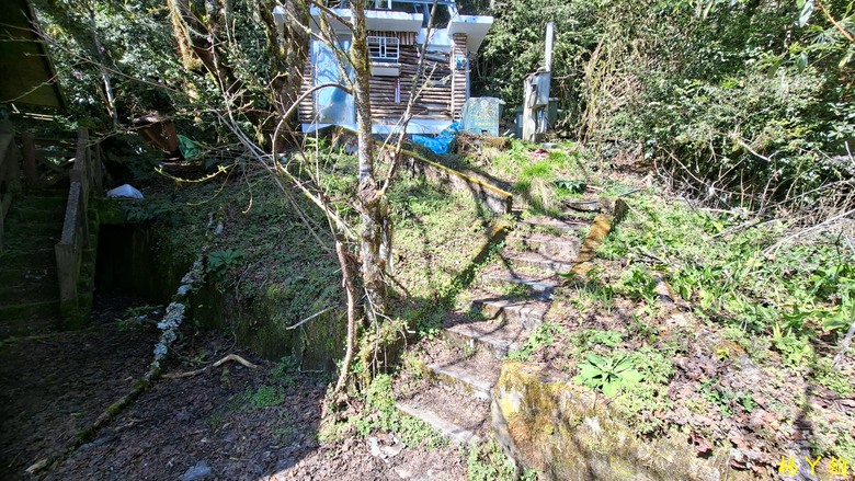 【台灣小百岳】開車比爬山時間還久的小百岳 — 卡拉寶山、碧綠神木