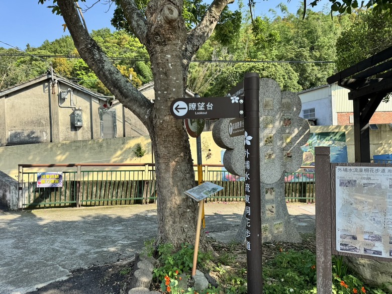 外埔隱藏版桐花景點|人少安靜又療癒