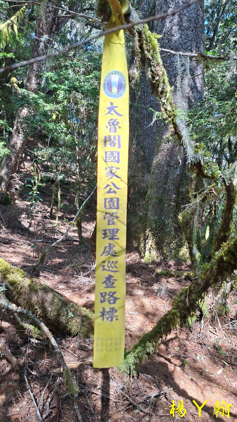 【台灣小百岳】開車比爬山時間還久的小百岳 — 卡拉寶山、碧綠神木