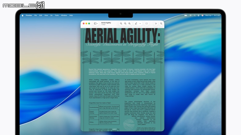 Apple 發表全新輔助功能 結合 Apple Intelligence 助盲人「看」懂世界、Vision Pro 眼神就能開輪椅