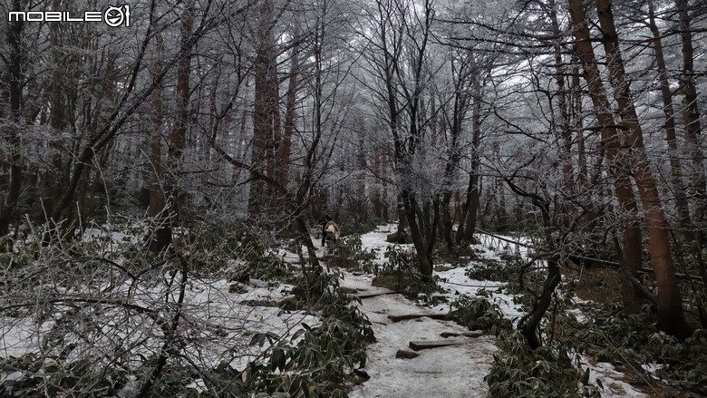 南韓最高峰 | 白雪漢拏山 |濟州島登山行程