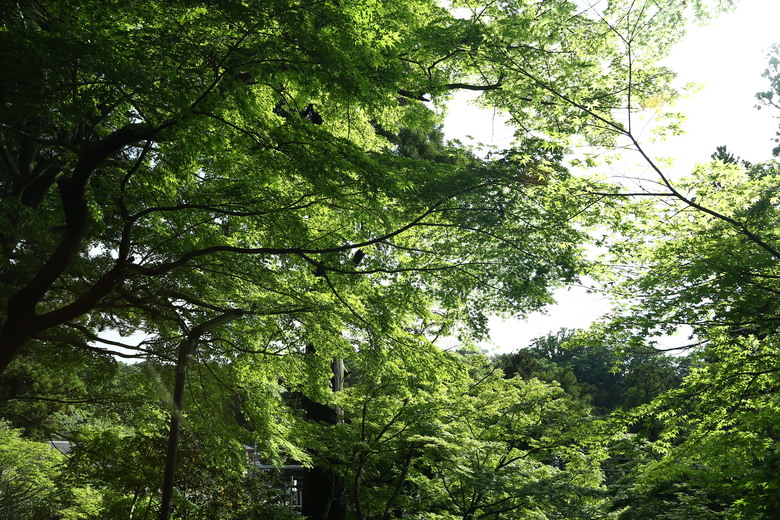 [關東] そうだ、鎌倉、横浜、箱根へ行こう。