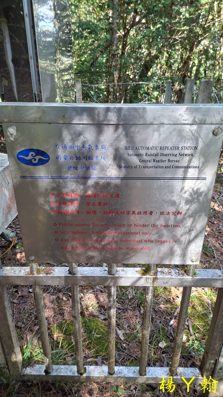 【台灣小百岳】開車比爬山時間還久的小百岳 — 卡拉寶山、碧綠神木