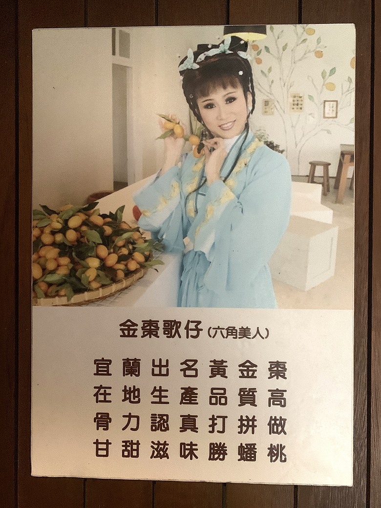 ＜宜蘭＞兩天一夜小旅行～光宅咖啡廳、入住捷絲旅、橘之鄉蜜餞形象館、蘭陽動植物王國