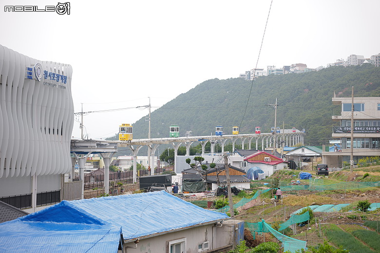 釜山賞櫻員工旅遊(上)