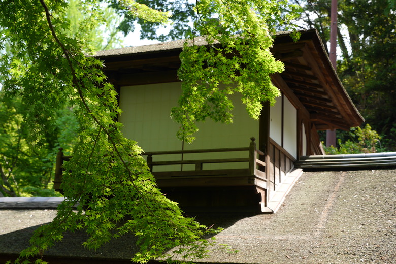 對日本古建築有興趣的可以來看看 冷門點橫濱三溪園