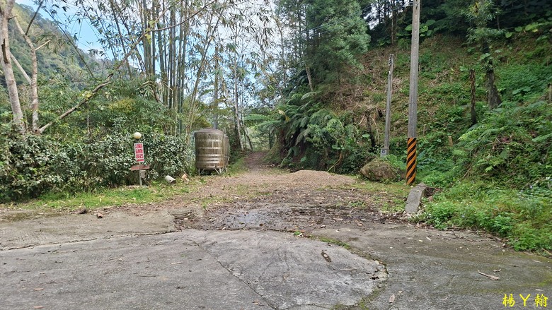 【郊山走走】馬胎古道、馬胎二期古道、南坪古道 山林輕鬆健行
