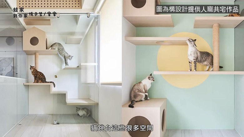 細節造就快樂小狗!開箱設計師的寵物宅,玄關動線、收納清潔全是主人的愛