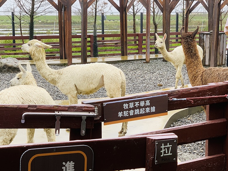 ＜宜蘭＞兩天一夜小旅行～光宅咖啡廳、入住捷絲旅、橘之鄉蜜餞形象館、蘭陽動植物王國