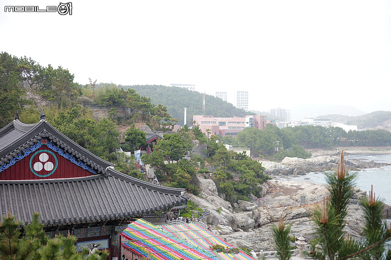 釜山賞櫻員工旅遊(上)