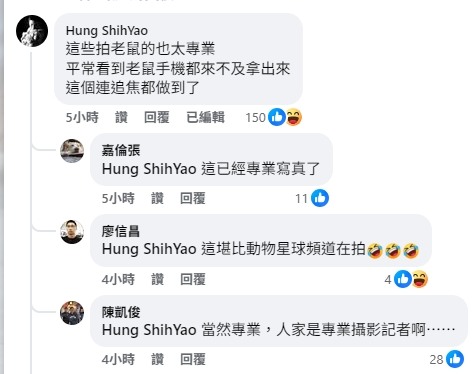 聯合報UDN圖輯／過街老鼠嚇到行人 都市鼠患使人苦惱