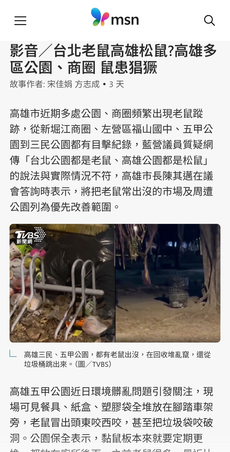 台北老鼠高雄松鼠?高雄多區公園、商圈 鼠患猖獗