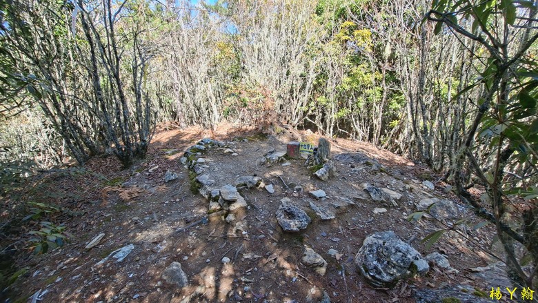 【台灣小百岳】開車比爬山時間還久的小百岳 — 卡拉寶山、碧綠神木