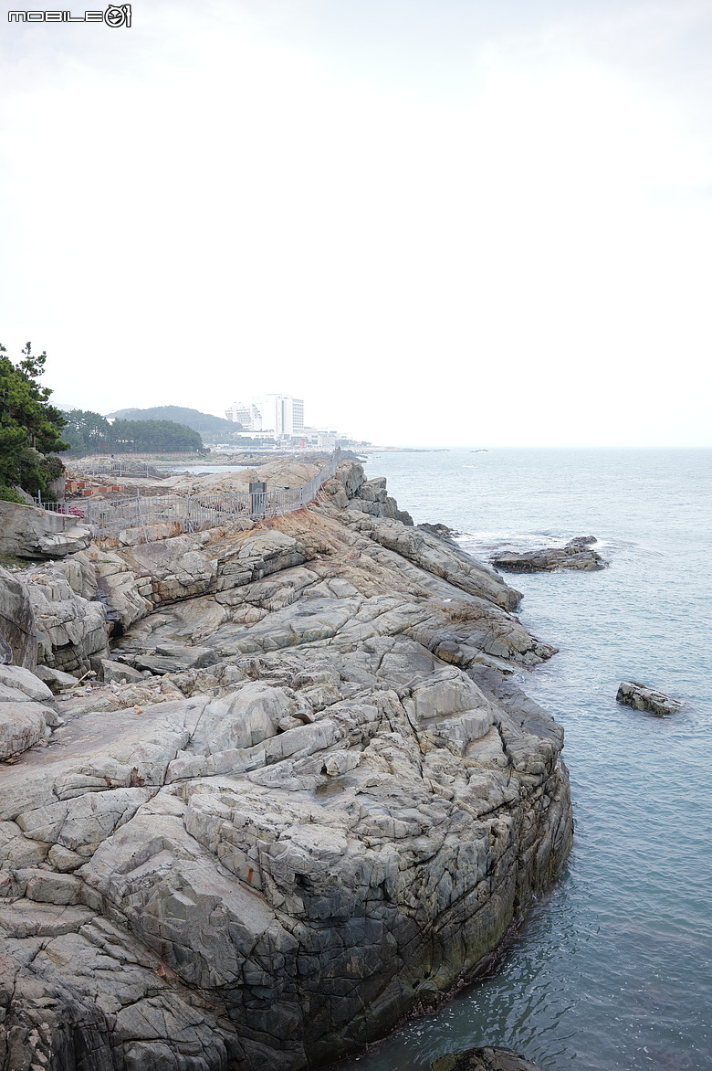 釜山賞櫻員工旅遊(上)