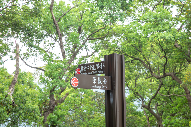 點我看大圖 尋找山林間的純粹,台24線霧台騎行輕鬆行