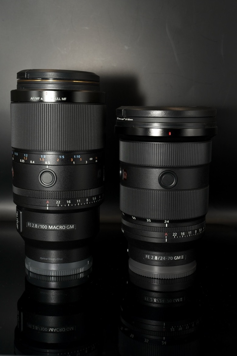 [初體驗] Sony FE 100mm f/2.8 Macro GM OSS