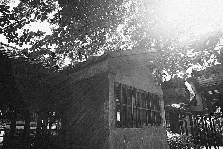 RICOH GR IV Monochrome 評測報告｜以純粹光影、譜寫口袋裡的黑白詩篇！