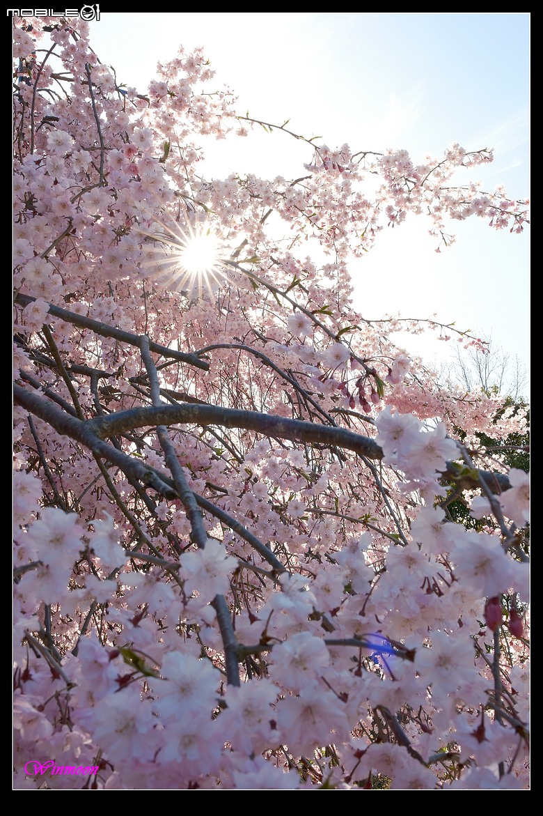 XH2S+Sigma17-40拍+錄心得