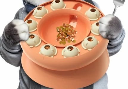 冷門寵物用品分享