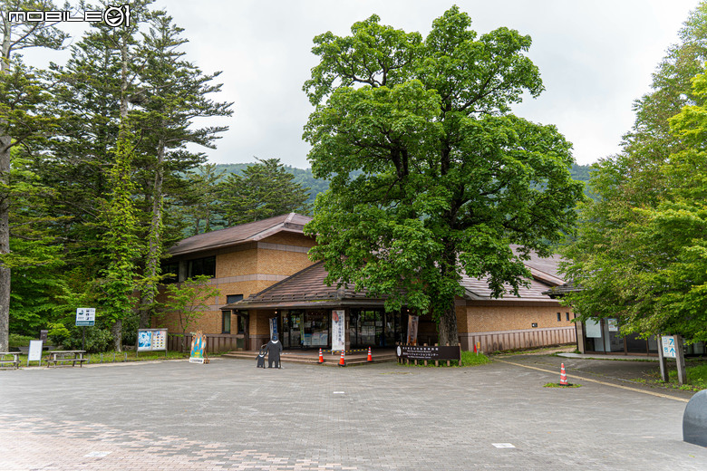 點我看大圖 Honda Taiwan 日本騎旅|茂木賽車場、本田博物館、秋名山體驗,超值的聖地巡禮!