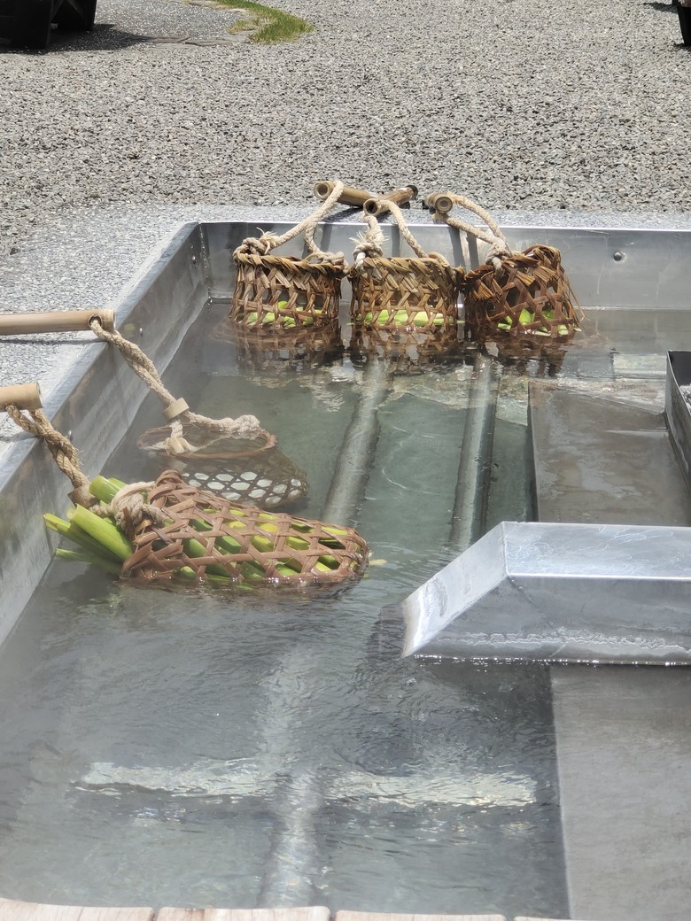 麻繩理工學院深入研究-小雲豹清水地熱麻袋與棉袋之煮食比較