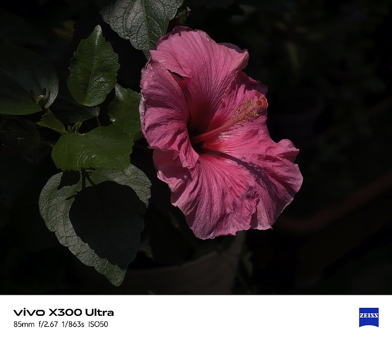 【上篇】vivo X300 Ultra與Gen2 Ultra增距鏡的心得及照片分享