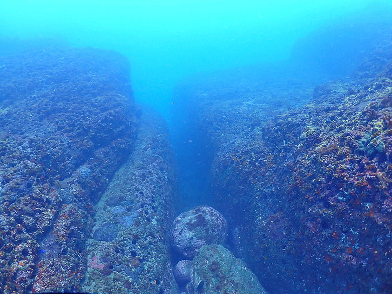 點我看大圖 (映像海洋) 一探油庫口海底花椰菜山丘 in 大坪海岸