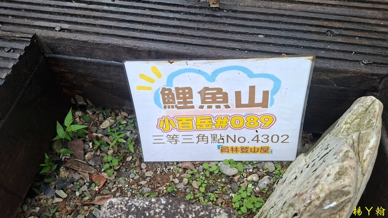 【台灣小百岳】鯉魚潭畔的靜謐午後|健行鯉魚山,飽覽湖光山色