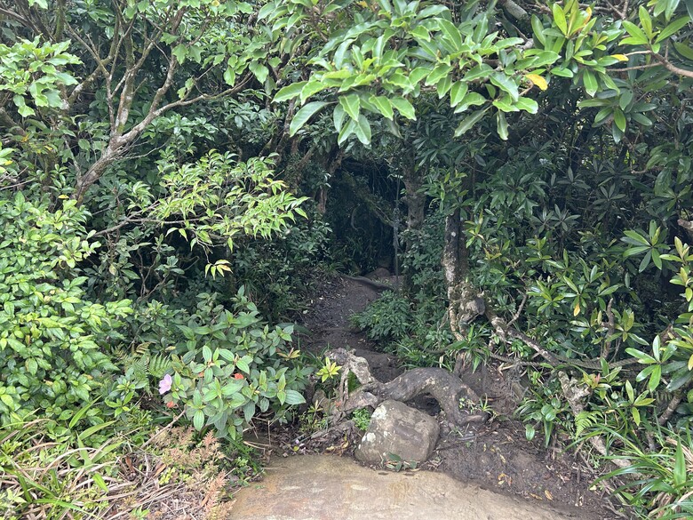 瑯 嶠 首 岳 - 里 龍 山 (小百岳編號80)
