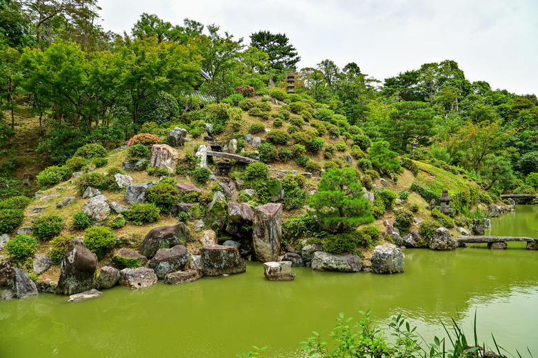 京都市區紫陽花名所採點介紹-藤森神社與智積院
