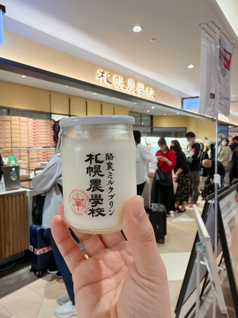 北海道 札幌 新千歲機場 國內線懶人包/攻略～