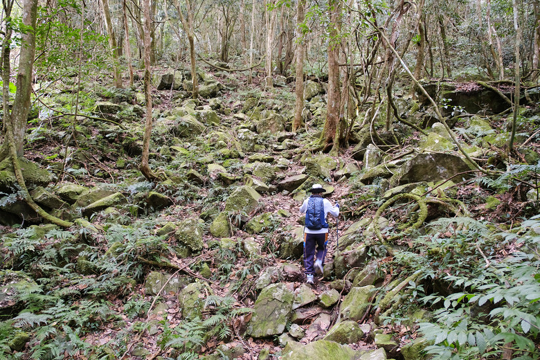 點我看大圖 【比大鳥縱走】隱沒在深山裡的日軍軍營遺址 | 五峰天際線