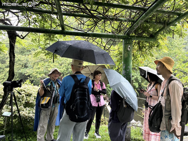 雨中的羽中精靈！ZEISS SFL 30 台北植物園半日賞鳥實記